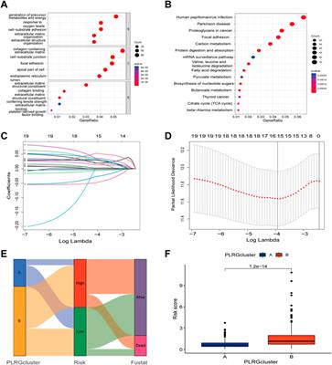 Subtypes analysis and prognostic model construction based on lysosome-related genes in colon adenocarcinoma